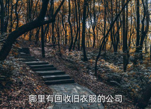 回收旧衣服源头厂家有哪些，山东有旧衣服回收的厂家吗