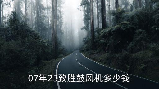 07年23致胜鼓风机多少钱