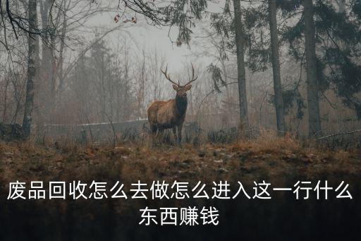 回收行业做什么比较好，废品回收怎么去做怎么进入这一行什么东西赚钱