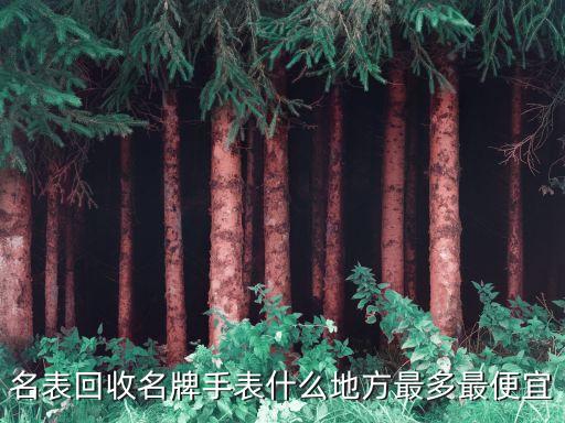 名表回收名牌手表什么地方最多最便宜