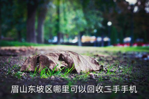 眉山东坡区哪里可以回收二手手机
