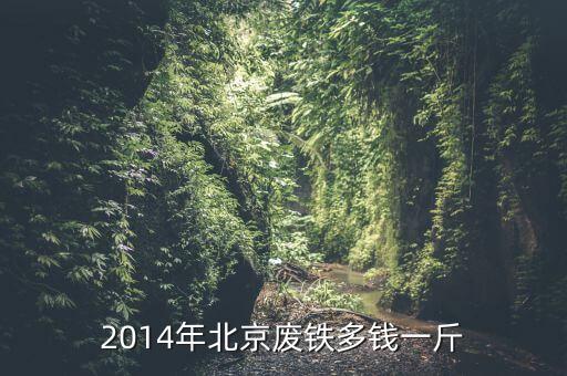 2014年北京废铁多钱一斤