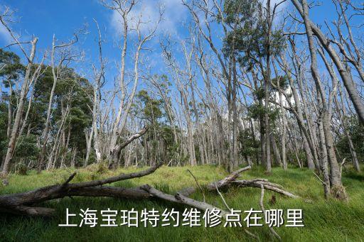 上海宝珀特约维修点在哪里