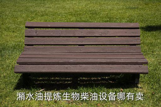 潲水油提炼生物柴油设备哪有卖