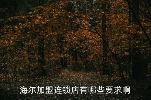 海尔加盟连锁店有哪些要求啊