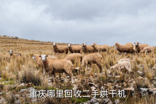 重庆哪里回收二手烘干机