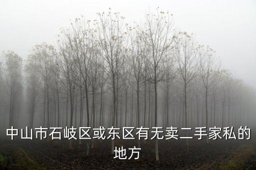 中山市石岐区或东区有无卖二手家私的地方