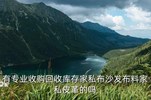 有专业收购回收库存家私布沙发布料家私皮革的吗