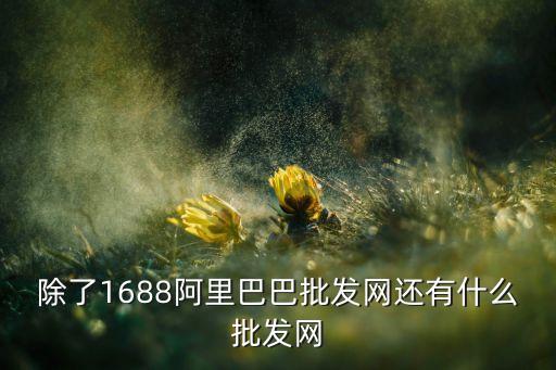 除了1688阿里巴巴批发网还有什么批发网