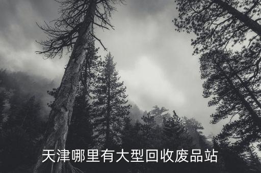 天津哪里有大型回收废品站