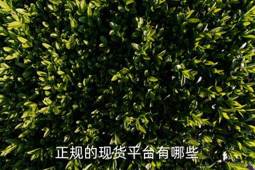 十大现货正规交易平台，中国有那些现货大型合法的交易平台