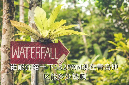 青岛酒瓶回收价格行情，谁能介绍一下5320XM现在青岛地区能多少钱啊