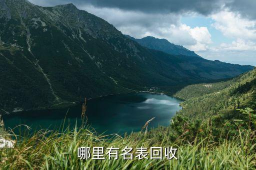 哪里有名表回收