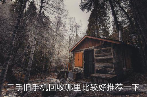 二手旧手机回收哪里比较好推荐一下
