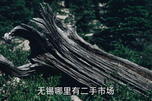 无锡哪里有二手市场