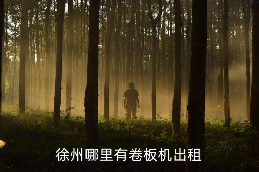 徐州哪里有卷板机出租