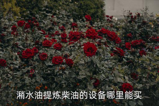 潲水油提炼柴油的设备哪里能买