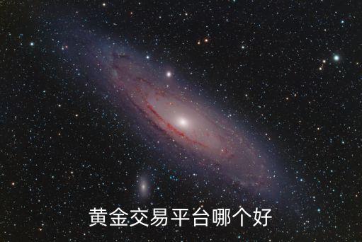 黄金交易平台哪个好