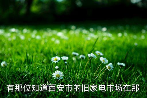 有那位知道西安市的旧家电市场在那