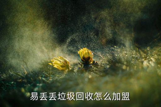 易丢丢垃圾回收怎么加盟