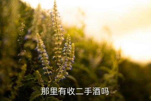 那里有收二手酒吗