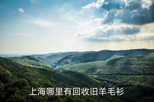 上海有上门收旧衣的吗，上海哪里有回收旧羊毛衫