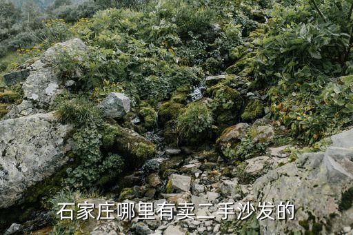 石家庄哪里有卖二手沙发的
