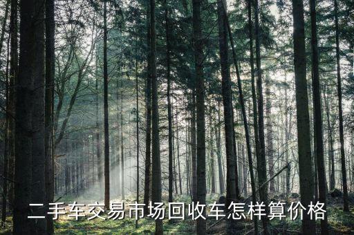 二手车交易市场回收车怎样算价格