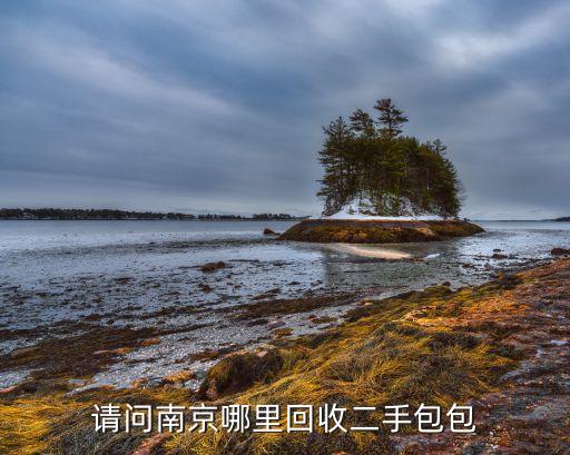 请问南京哪里回收二手包包