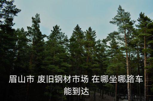 眉山市 废旧钢材市场 在哪坐哪路车能到达