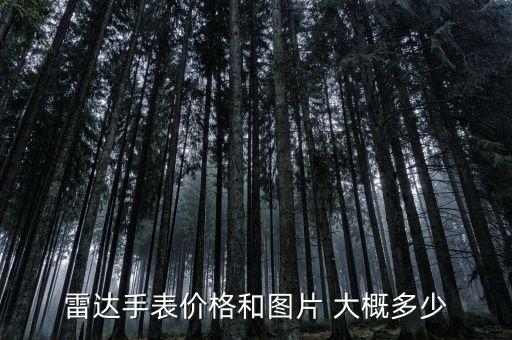 雷达手表价格及图片，雷达手表价格