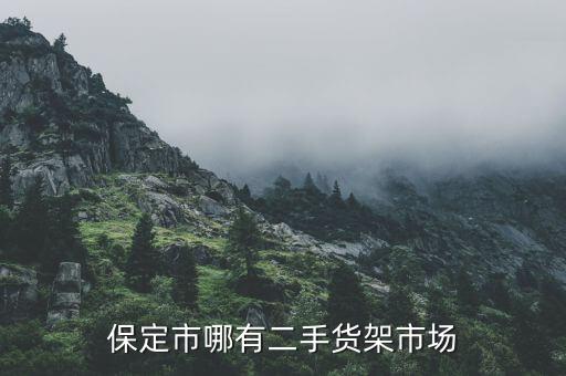 保定市哪有二手货架市场