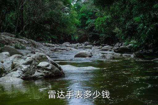 雷达手表多少钱