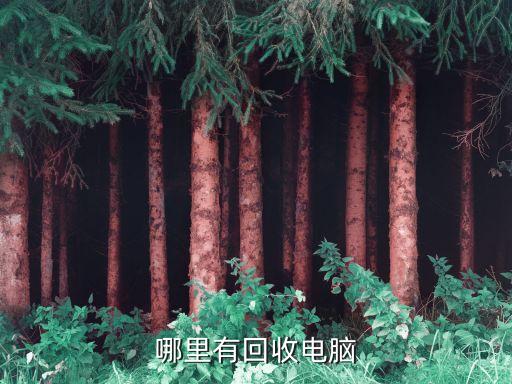 哪里有回收电脑