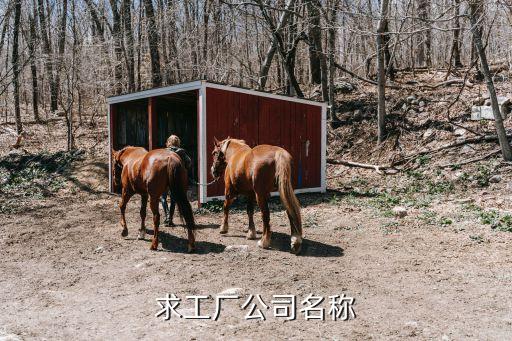 求工厂公司名称