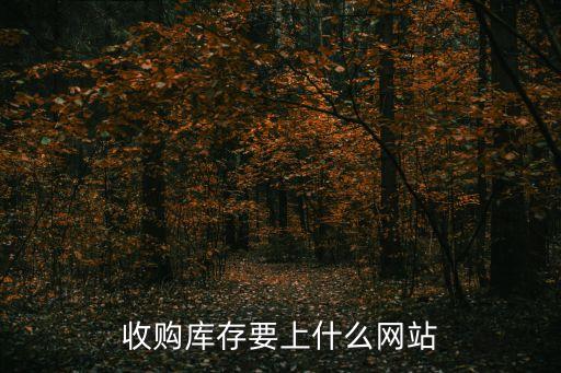 收购库存要上什么网站