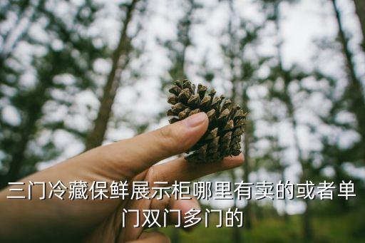 三门冷藏保鲜展示柜哪里有卖的或者单门双门多门的
