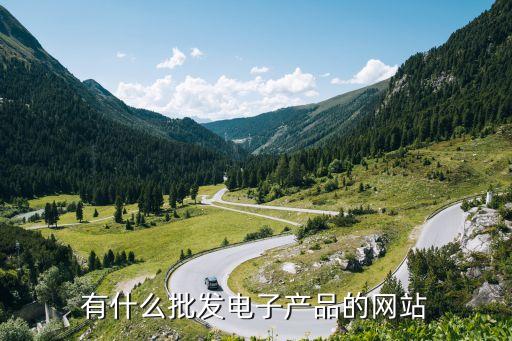 电器批发厂家一手货源网，有什么批发电子产品的网站