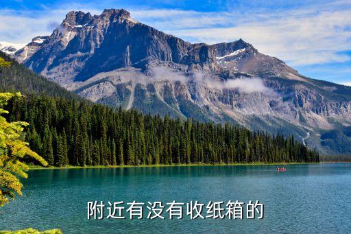 附近有没有收纸箱的