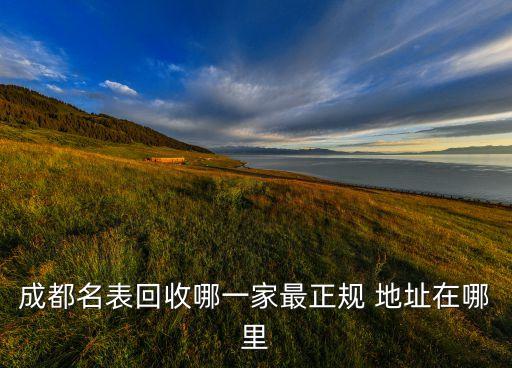 成都名表回收哪一家最正规 地址在哪里