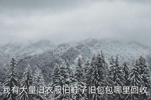 我有大量旧衣服旧鞋子旧包包哪里回收