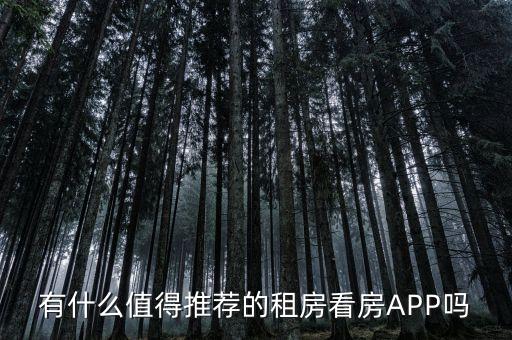 有什么值得推荐的租房看房APP吗