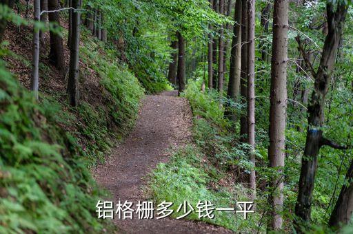 铝格栅多少钱一平
