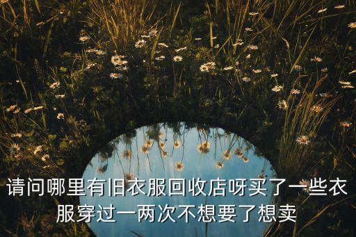 请问哪里有旧衣服回收店呀买了一些衣服穿过一两次不想要了想卖