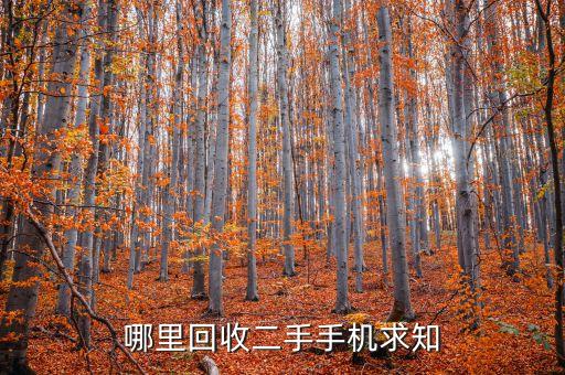 哪里回收二手手机求知
