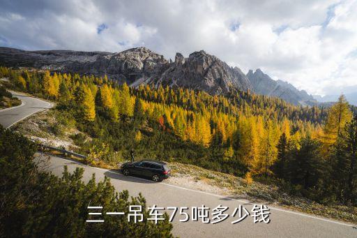 三一吊车75吨多少钱