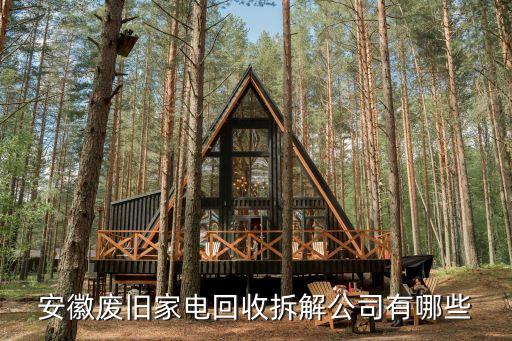 阜阳废旧家电拆解厂，安徽废旧家电回收拆解公司有哪些