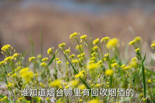 谁知道烟台哪里有回收烟酒的
