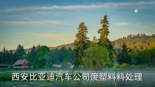 西安比亚迪汽车公司废塑料料处理