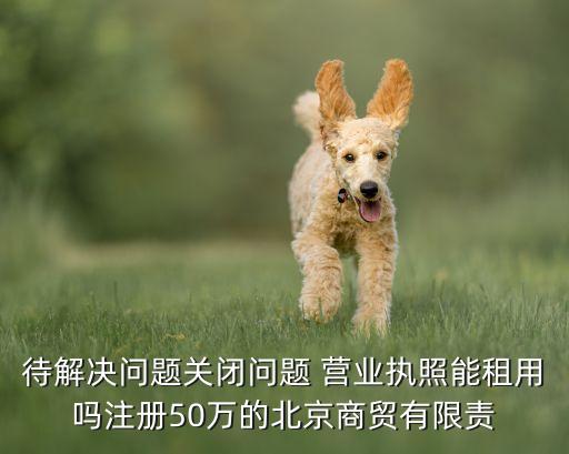 待解决问题关闭问题 营业执照能租用吗注册50万的北京商贸有限责